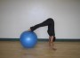 swissball